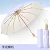 Guarda-chuva de Osso de Dragão Duplo de 16 Ossos com Cola Colorida Anti-UV Portátil Triplo Dobrável Manual para Sol e Chuva Uso Duplo Protetor Solar Guarda-chuva Dobrável