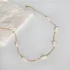Colar de pérolas de água doce de pequenas partículas em forma de aço titânio moda feminina elegante colar de celebridades da Internet Corrente de clavícula de pérola simples para mulheres