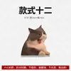 Pegatinas para Coche de Memes de Gatos, Calcomanías Divertidas de Emoticonos de Hakimi para Coche, Precaución para Principiantes, Pegatinas para Coche de Perros Hakimi