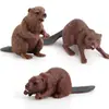 Set de 3 Figuras de Castor Modelos de Animales Realistas de PVC Figuras de Castor Sentado y Acostado Juguetes Educativos de Vida Silvestre para Niños Decoración Inspirada en la Naturaleza
