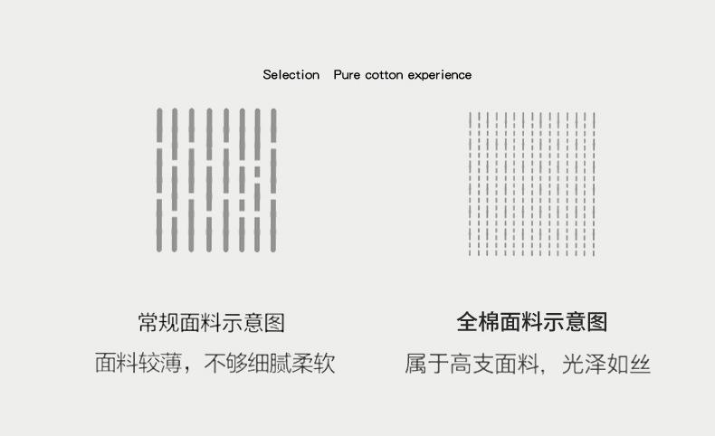 热带恐龙_05.jpg