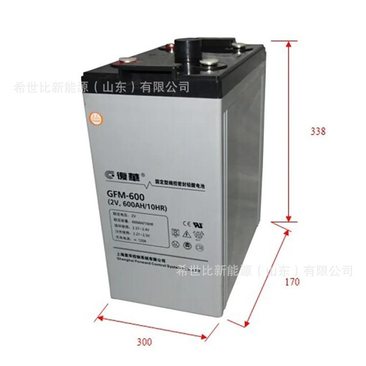 GFM2V600AH1.webp.jpg