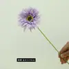 Flor de Seda Gerbera de Galho Único Mais Vendida no Exterior, Margarida Grande, Crisântemo Selvagem Pequeno, Flor Artificial, Decoração de Casa e Casamento, Enfeites de Alta Qualidade
