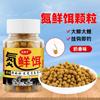 Pellets de Isca Fresca de Nitrogênio Isca de Pesca Sem Mistura para Pesca Selvagem em Poço Negro Carpa Crucian, Carpa, Carpa Capim Isca com Aroma de Peixe e Leite Isca para Anzol