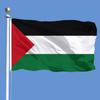Bandeira Palestina, Bandeiras de Vários Países, Bandeira de Exterior, Bandeira de Acenar à Mão, Bandeira de Corda, Bandeira de Mesa, Bandeira Pequena, Bandeira Colorida, Bandeira de Faca