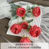 Ornamento de Peonía Asada Simulada de 6 Cabezas para Sala de Estar del Hogar Flores Simuladas Decoración de Boda Guía de Camino para Salón de Bodas Flores Falsas Personalización