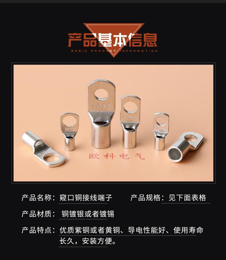 SC铜鼻子1_04.jpg