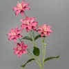 Flores de Lirio Artificiales de Comercio Exterior Transfronterizo, Lirios de Doble Pétalo de 5 Cabezas, Ramos de Flores Falsas, Flores para Decoración de Pasillo de Boda
