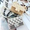 Mini Bolso Metálico Hueco con Patrón de Diamantes para Audífonos Cadena Bolso de Cintura Colgante para el Cuello Decoración Esencial de Moda para Mujer Bolso Yangshulin