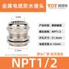 Conector Metálico NPT/G Rosca Estándar Americana Latón Niquelado Protección de Cable Prensaestopas Manguera de Protección Doble Extremo Recto