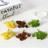 Suculenta Artificial Terciopelo 11 Cabezas Cactus DIY Pequeño Mini Bonsái Maceta Flor de Suculenta Planta Verde