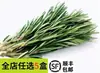 Las Pensamientos Frescas Se Pueden Usar Como Flores Comestibles Para Cocina Occidental de Hotel, Productos Horneados, Bebidas, Platos Japoneses, Ensaladas Frías y Sashimi Para Emplatado y Decoración