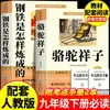 El Camello Xiangzi y Cómo se Hace el Acero Son Libros Extracurriculares de Lectura Obligatoria para Estudiantes de Séptimo Grado, Segundo Semestre, Edición Genuina