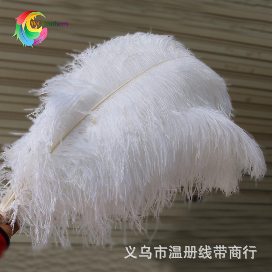 ostrich feather 5