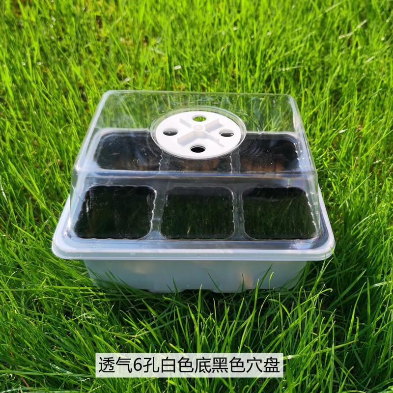 透气6孔白色底黑色穴盘