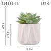 Planta Suculenta Simulada Macetas, Decoración de Muebles de Oficina Nórdicos, Nuevas Suculentas Bonsái Simuladas de Alta Calidad para el Hogar
