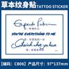 Pegatina de tatuaje de hierbas con diseño de planta de jugo, nombre en inglés, para hombres y mujeres, impermeable, de larga duración, simulación