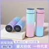 Taza Inteligente de Gran Capacidad con Pantalla de Temperatura para el Hogar, Termo de Acero Inoxidable 304 con Gradiente, Taza Recta Portátil para Exteriores
