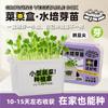 Plantación Hidropónica Mini Plantas en Maceta para Niños, Plantas Pequeñas de Tomate, Plantas de Observación, Caja Sorpresa, Pequeños Regalos para Estudiantes de Primaria