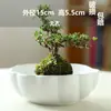 Kenzan Criativo Vaso Arranjador de Flores Cerâmica Íris Pau-Brasil Recipiente Bola de Musgo Fruteira Mesa Fabricante Pintura Colorida