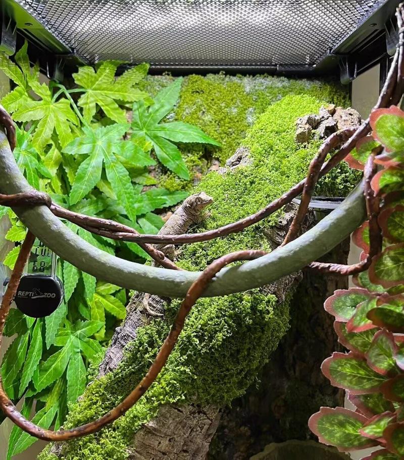 0C78C218F918FEA73F38ACA8295740