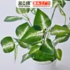 Planta Artificial Planta Verde Planta em Vaso Folha Artificial Decorativa Planta de Sete Pontas Folhagem Rica Material de Parede de Plantas Flor Artificial Cola para Folhas Sensação de Folha