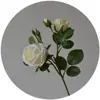 Flor artificial de tela de seda de alta calidad con flor artificial yang decoración del hogar flor falsa boda color primavera cuatro horquillas multi-cabeza rosa Xuan Ya