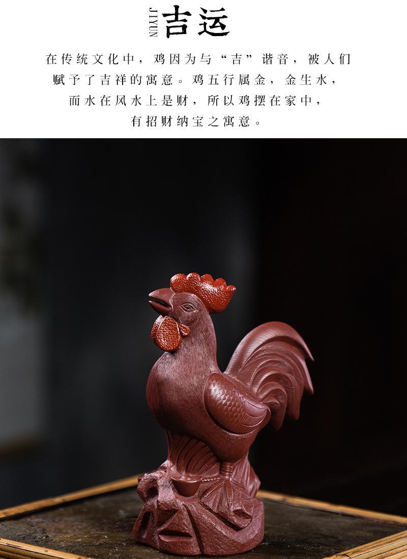 公鸡2020904 (21).jpg