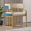 Silla de Comedor, Silla Sofá de Lujo Ligero de Gama Alta, Mesa y Sillas para Recepción y Negociación, Silla de Moda para Salón de Uñas, Silla para Tocador de Casa