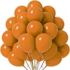 Balões de Aniversário Amazon 10 polegadas Conjunto de Balões de Cor Sólida Balões para Decoração de Feriado Balões Metálicos Foscos Maca