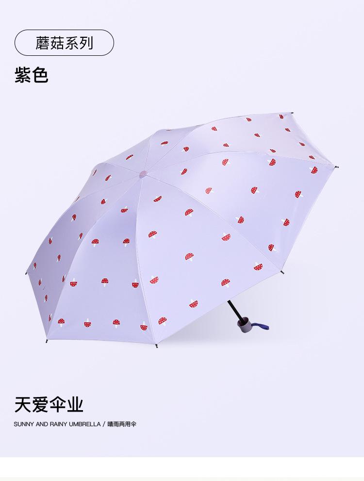 详情3 (17).jpg
