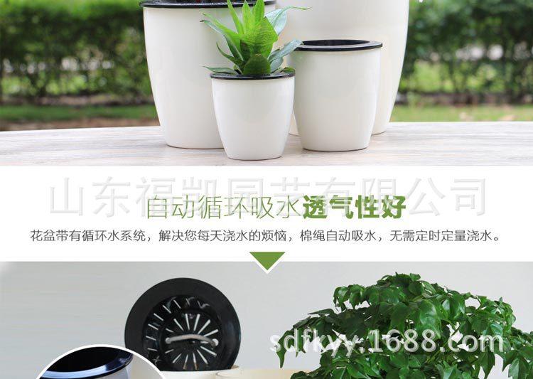 懒人花盆新_15