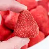 Bolo Seco de Morango Liofilizado Decoração Fruta Seca Flor de Neve Crocante Assado Comercial 500g Morango Inteiro Crocante Lanches para Grávidas