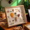 Moldura de Foto DIY Feita à Mão Moldura Estéreo Oca para Espécimes Coleção de Conchas Pedras Flores Secas Moldura de Foto para Exibição de Conservação