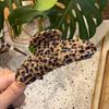 Novo Cabide Estampa Leopardo Grampo de Cabelo Sete Dentes Semi-redondo Elegante Simples Acessório de Cabeça Presilha Tiburón para Mulheres