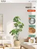 Plantas Verdes Artificiais de Alta Qualidade para Decoração de Sala de Estar, Planta Realista Falsa de Figueira-da-Índia Preta para Decoração de Sala de Transmissão ao Vivo