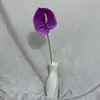 Flor Artificial Anturio Se Siente Como una Palma Grulla de Fuego Decoración de Boda Flor Fotografía Arreglo Floral de Gran Altura Decoración de Flores Artificiales Paisajismo