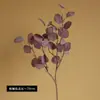 Galho curto polpa de cabelo folha de dinheiro eucalipto simulação folha de eucalipto flor simulação flor de eucalipto arranjo de flores planta simulação planta verde atacado