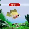 Peixe Ornamental Grande, Peixe Tropical Pequeno de Água Doce Fácil de Cuidar, Peixe Leve, Aquário de Tanque com Plantas Natação em Grupo Peixes de Estimação