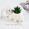 Porcelana Blanca Nueva Escandinava Macetas para Gatos y Suculentas Exportación Exportación Macetas de Cerámica Transfronterizo Plantas Suculentas en Maceta