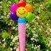 Margarida vermelha líquida que guarda a vara Margarida do smiley que bate a atividade do impulso da vara margarida inflável do girassol