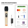Microfone sem fio transfronteiriço um para dois guia de áudio externo ao vivo explosões de comércio exterior família KTV microfone para cantar
