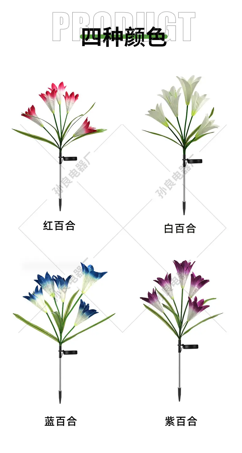 五头百合花 (9)