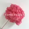 Flor Preservada Haste Única Hortênsia Anna Anna Folha Pequena Bella 40 Cores Personalizado Atacado Presente Dia dos Professores
