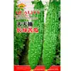 Semillas de Melón Amargo Largo Verde Brote Cai Cai Maduración Temprana Verde Dulce Crujiente Ligeramente Amargo Semillas de Melón Amargo Largo Verde Semillas de Verdura para Huerto