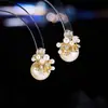 Brincos de Pérola Fogos de Artifício com Zircônia Microincrustada Estilo Retrô Francês Design de Nicho Brincos de Luxo Leve Brincos Super Fada Doces Venda por Atacado