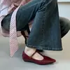 2026 Nuevos Zapatos Mary Jane Franceses Estilo Retro Inspirados en Chanel de Tacón Bajo con una Sola Correa, Elegantes y Versátiles para el Trabajo y para la Noche