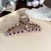 Presilha de Cabelo Elegante Meio Presa com Brilho Super Alto e Acabamento de Luxo, Contas de Cristal em Fileira Dupla, Presilha de Cabelo Artesanal com Fio de Pesca para a Parte de Trás da Cabeça, Presilha Jacaré