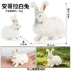 Simulación Mini Gato Perro Modelo de Animal Pequeño Juguete Corgi Perro Chai Pelo Dorado Marioneta Gato Gato sin Pelo Husky Mascota Linda