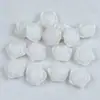 Opciones Multicolores 18mm Color Sólido Resina Transparente Camelia Fondo Plano Adornos Hechos a Mano para Fundas de Teléfono Accesorios de Manualidades